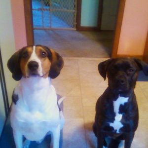 Meet your Posher, Debbie